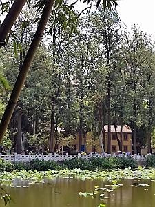 Kunming - Parc Cuihu - 37